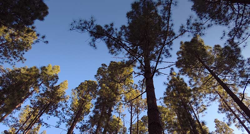 senderismo-casa-rural